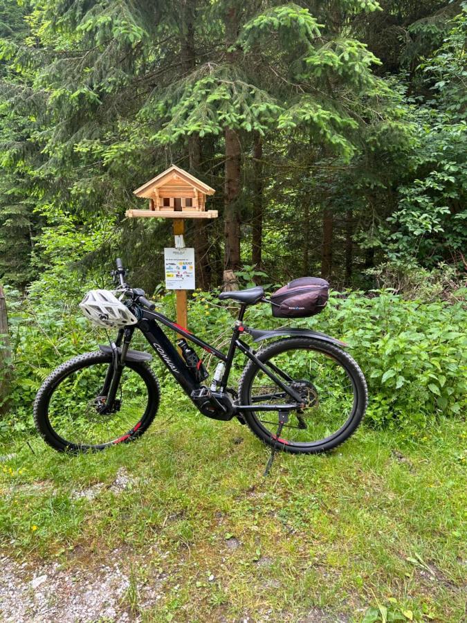 Apartmán Haus Laubreuter Kaprun Exteriér fotografie