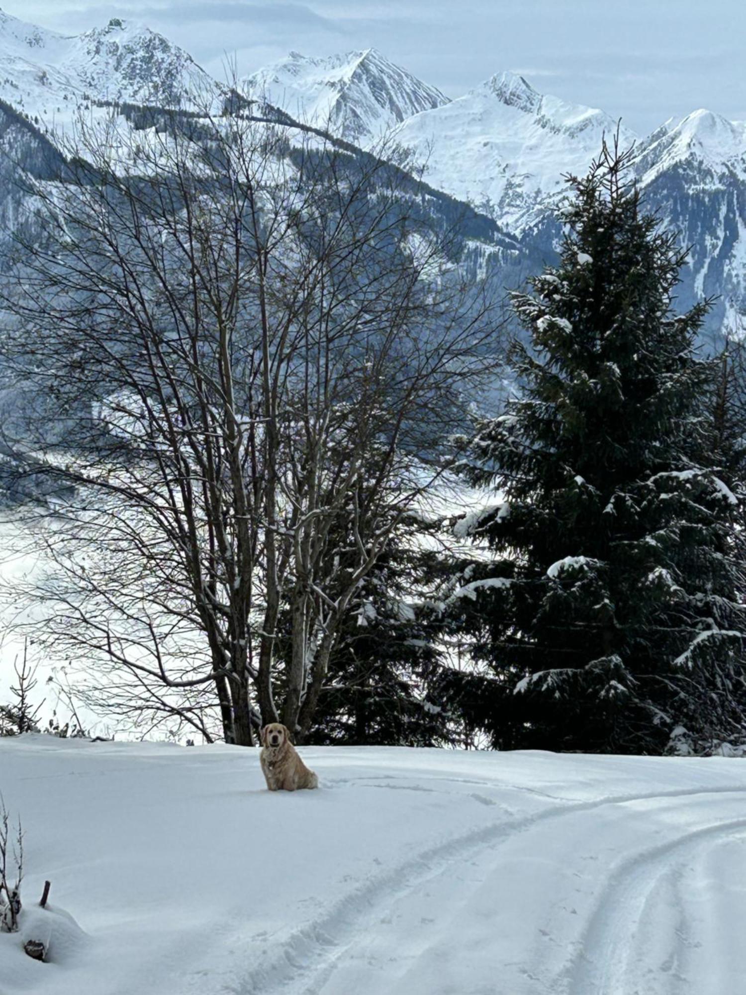 Apartmán Haus Laubreuter Kaprun Exteriér fotografie